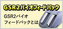 GSR 2バイオフィードバック GSR2バイオフィードバックとは？